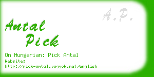 antal pick business card